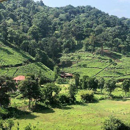 Janiro Tea Trees Villas Vythiri Exterior photo