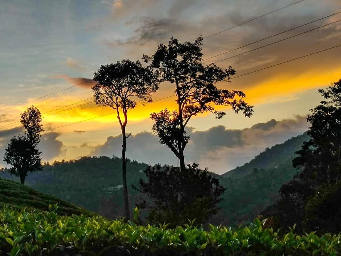 Janiro Tea Trees Villas Vythiri Exterior photo