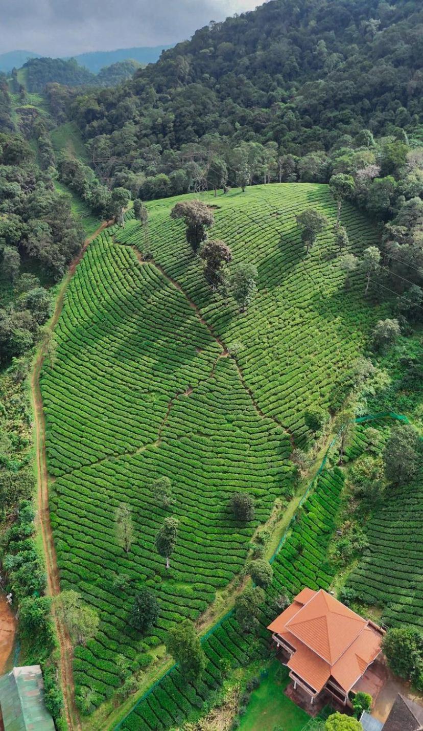 Janiro Tea Trees Villas Vythiri Exterior photo