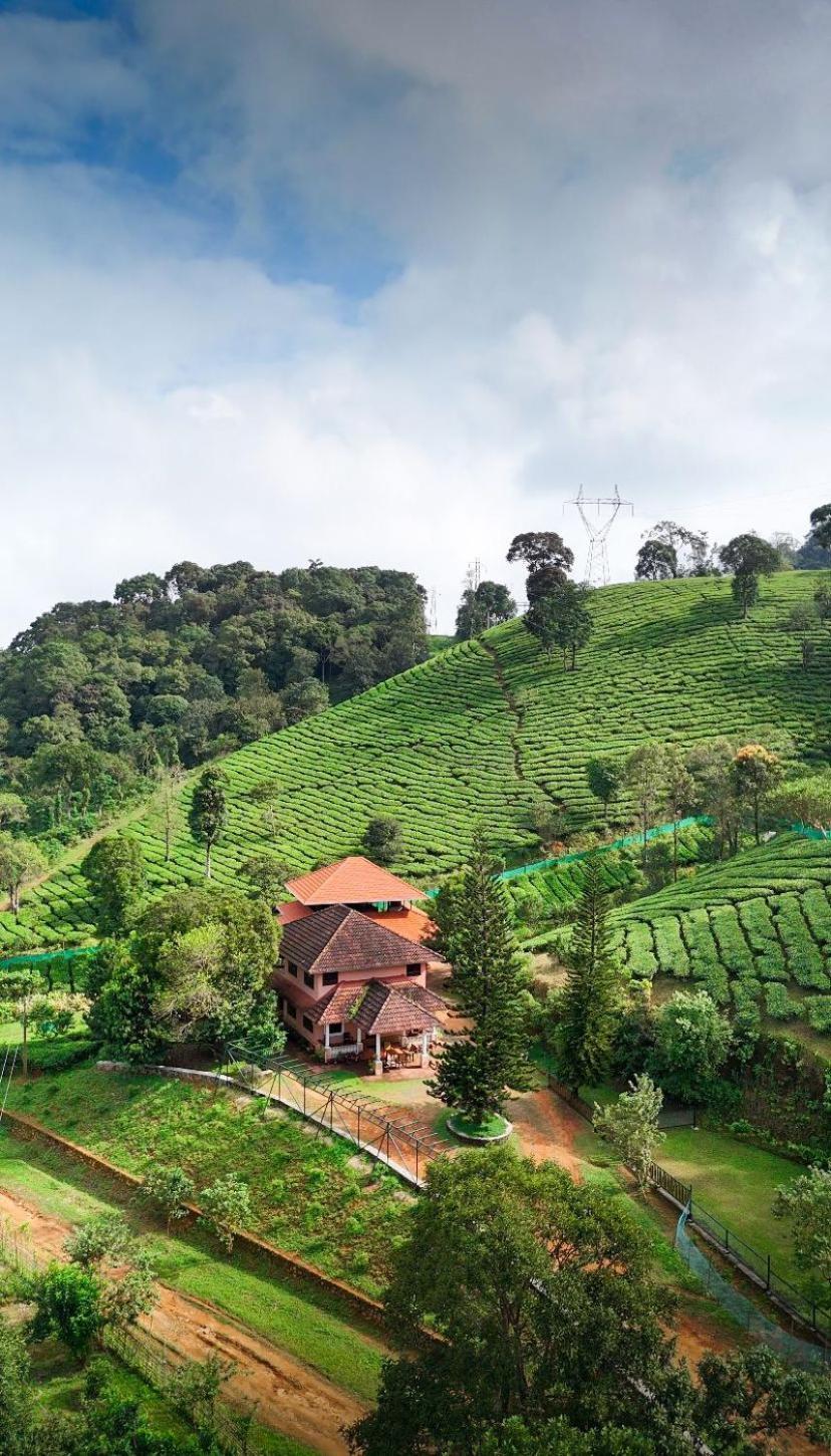 Janiro Tea Trees Villas Vythiri Exterior photo