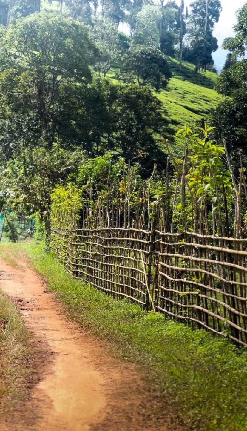 Janiro Tea Trees Villas Vythiri Exterior photo