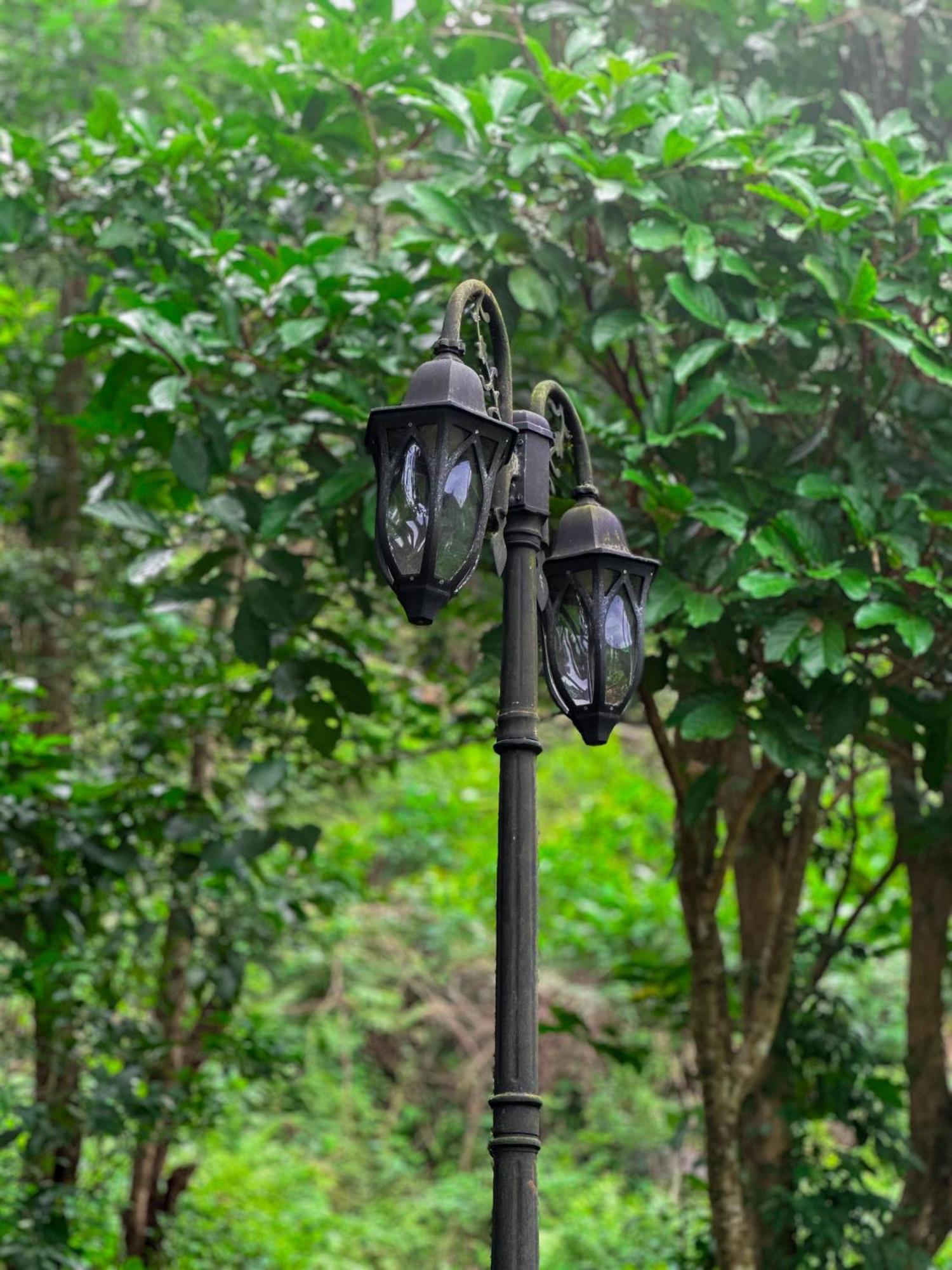 Janiro Tea Trees Villas Vythiri Exterior photo