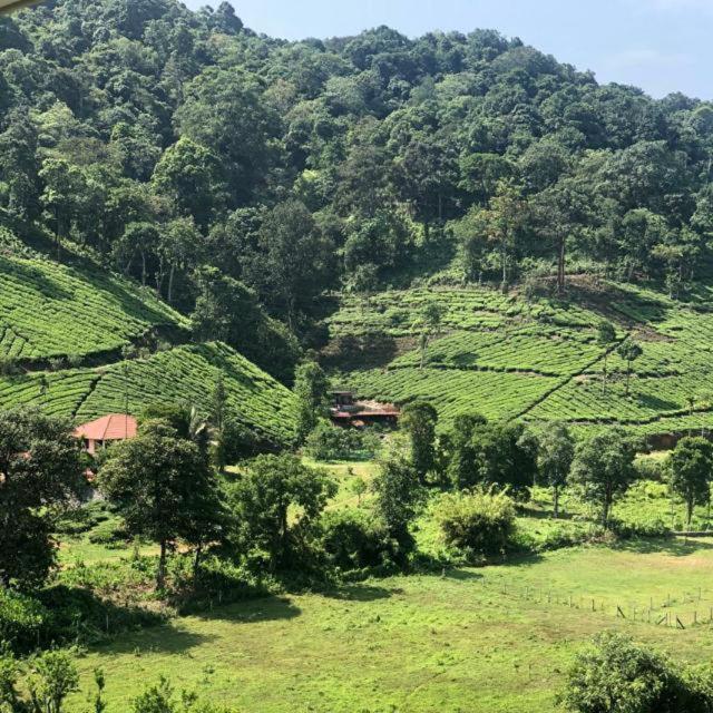 Janiro Tea Trees Villas Vythiri Exterior photo